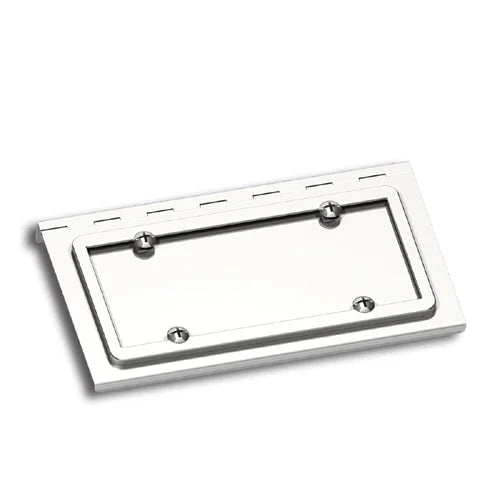 29136 379 Swing Plate