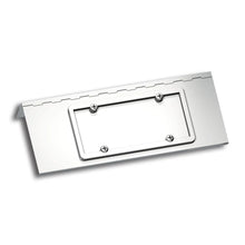 29132 Stainless Single License PlateSwing Plate For Peterbilt